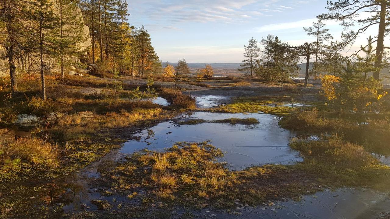 ホテル The Friendly Moose Overtornea エクステリア 写真