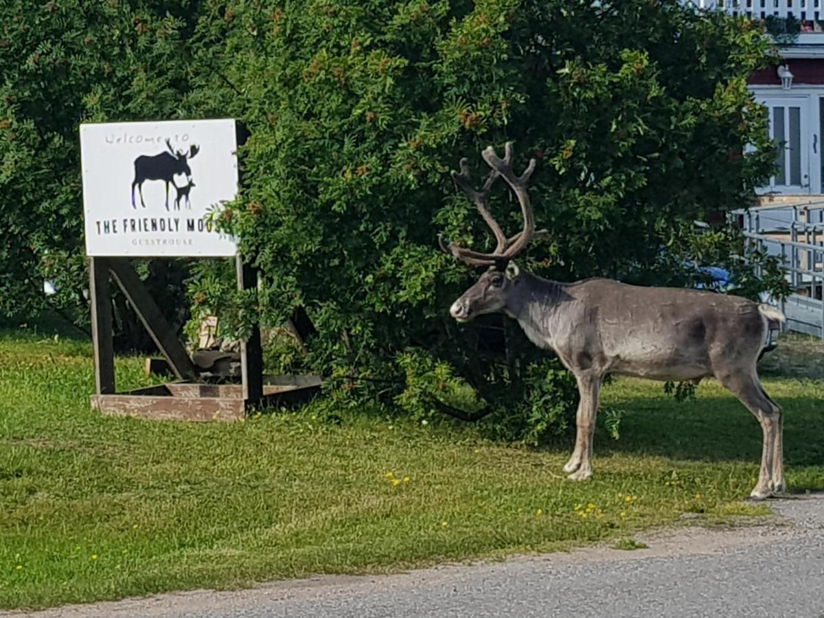 ホテル The Friendly Moose Overtornea エクステリア 写真