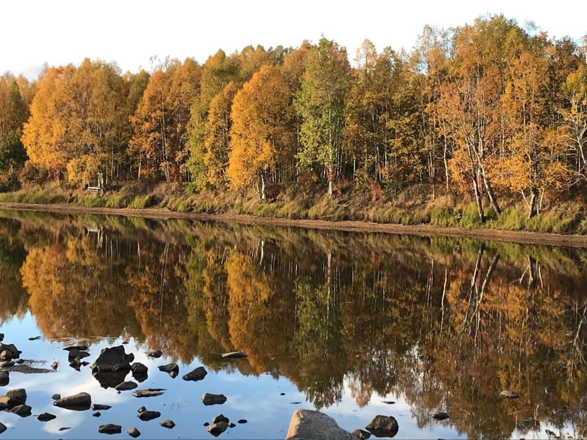 ホテル The Friendly Moose Overtornea エクステリア 写真
