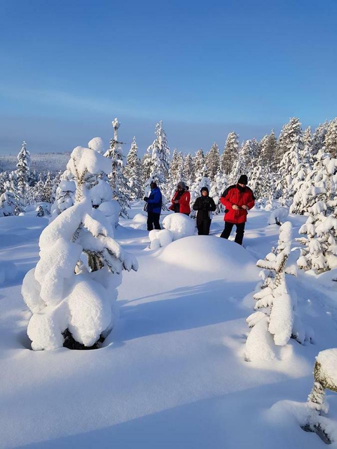 ホテル The Friendly Moose Overtornea エクステリア 写真